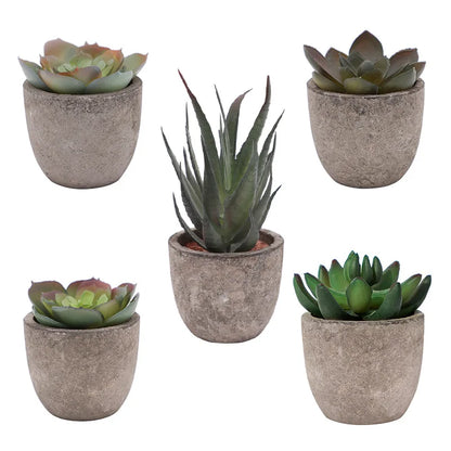 Mini Artificial Aloe Bonsai – Perfect for Home and Office Decor